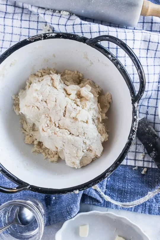 Basic Pie Crust Recipe