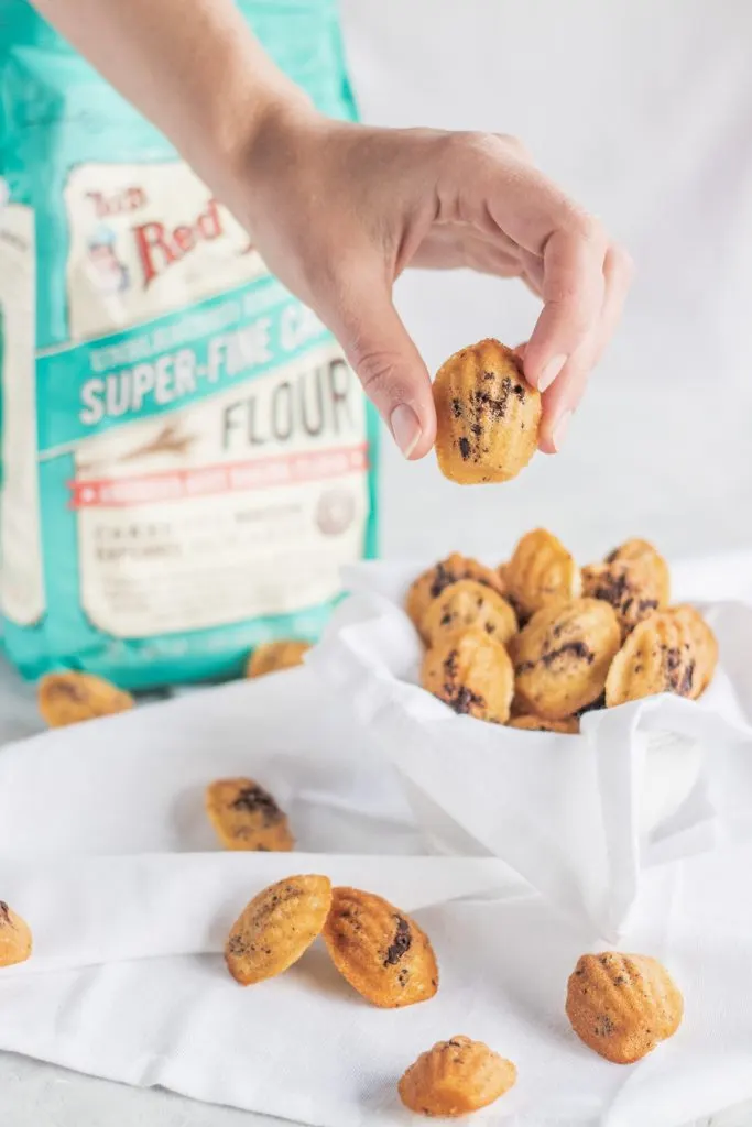 Chocolate Chunk Mini Madeleines 