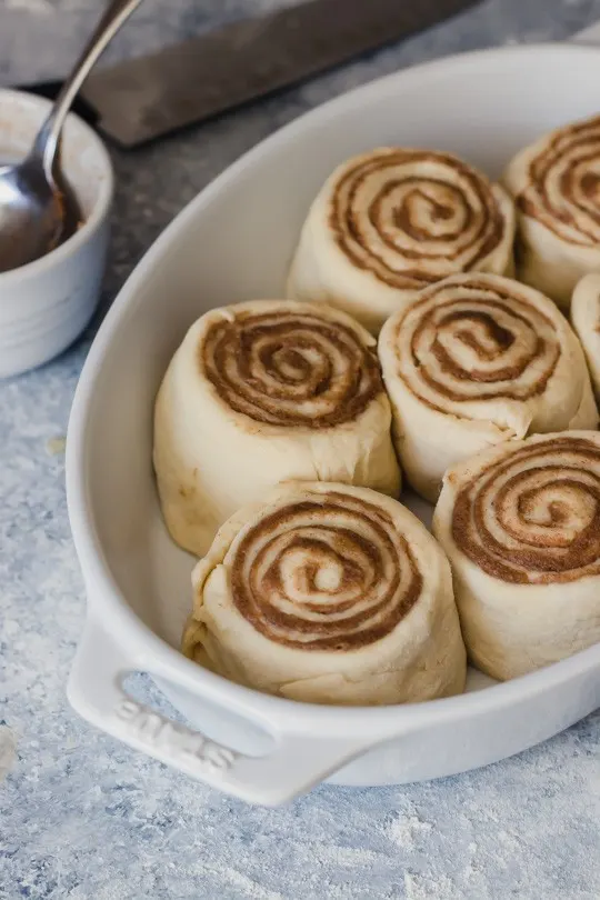 Why aren't my cinnamon rolls rising? and other questions about making cinnamon rolls answered!