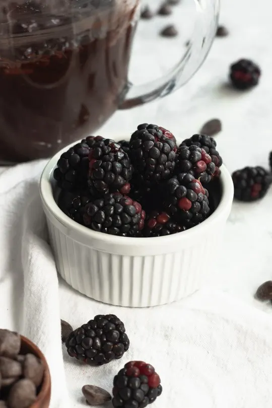Chocolate Blackberry Muffin Mixins || Good Things Baking Co.
