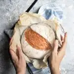 Instant Pot No Knead Bread