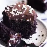 Easy Sourdough Chocolate Cake with Fudge Frosting and White Sprinkles on Top