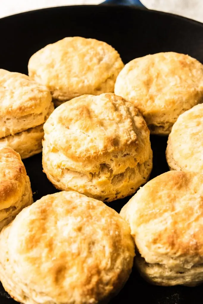 Flaky, tall, sourdough biscuits.