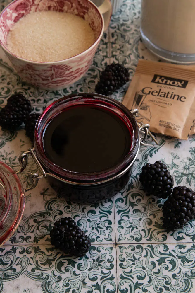 Blackberry coulis.